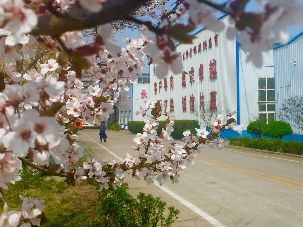 金格瑞廠區 金格瑞廠區