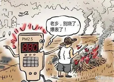 秸稈焚燒導致環境污染 秸稈焚燒導致環境污染