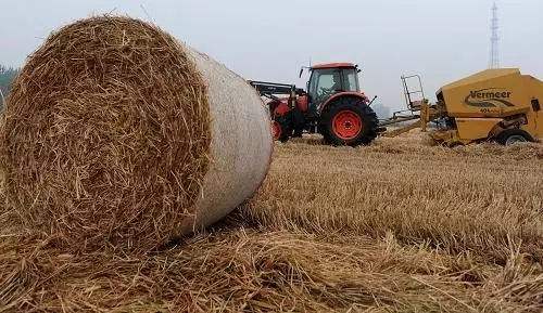 秸稈綜合利用形成產(chǎn)業(yè)鏈 秸稈綜合利用形成產(chǎn)業(yè)鏈