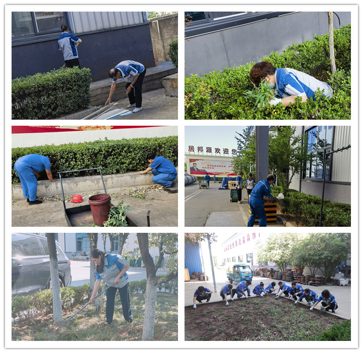 大家清掃、拾撿綠化帶垃圾,清理路邊縫隙死角內的煙頭和雜物.jpg 大家清掃、拾撿綠化帶垃圾,清理路邊縫隙死角內的煙頭和雜物.jpg